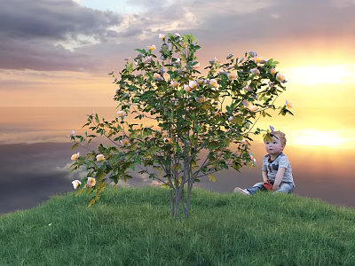 Flowering Tree With White And Pink Blooms And Child Sitting On Green Grass Under Sunset 3d model