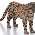 clouded leopard clouded cat leopard bobcat clouded leopard 3d model