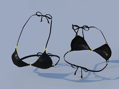 Black Bikini Swimsuit With Triangle Top And Adjustable Tie Straps Design 3d model