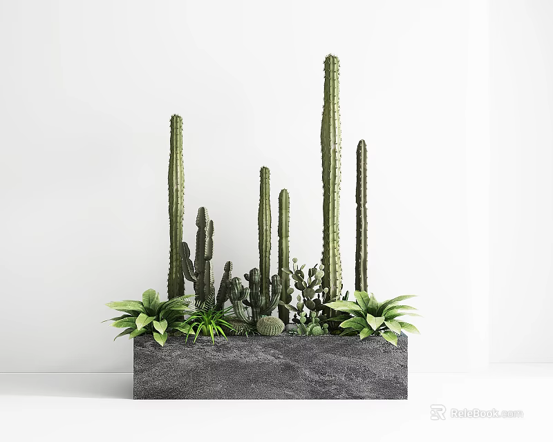 Green Plant Combination With Tall Columnar Cacti And Short Clustered Succulents In Grey Rectangular Planter 3d model 
