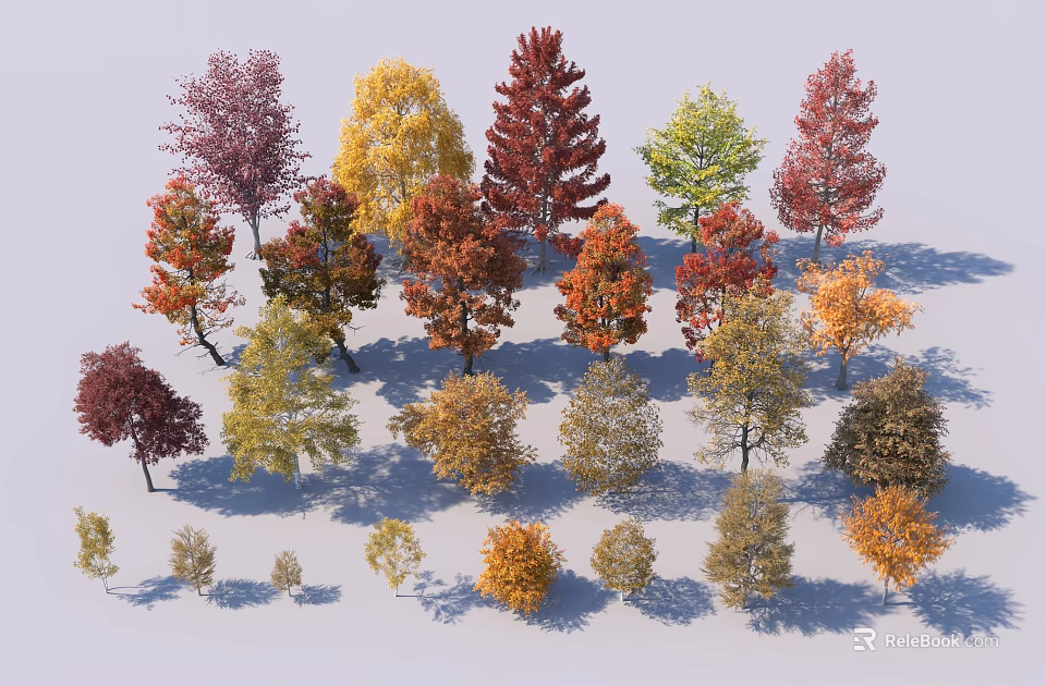 Colorful Deciduous Trees With Various Shapes Sizes And Vibrant Seasonal Foliage 3d model 