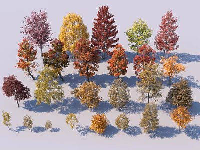 Colorful Deciduous Trees With Various Shapes Sizes And Vibrant Seasonal Foliage 3d model