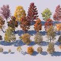 Colorful Deciduous Trees With Various Shapes Sizes And Vibrant Seasonal Foliage