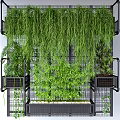 Lush Vines Hanging On Grid Wall With Greenery