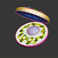 Fashion Accessories Open Jewelry Box With Blue Gemstone And Pink Gold Accents