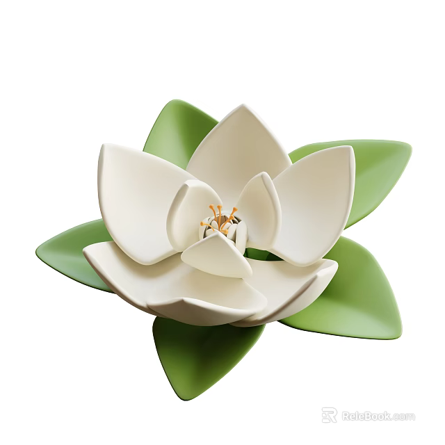 Elegant White Flower with Green Leaves Delicate Petals and Golden Stamen in Bloom 3d model 