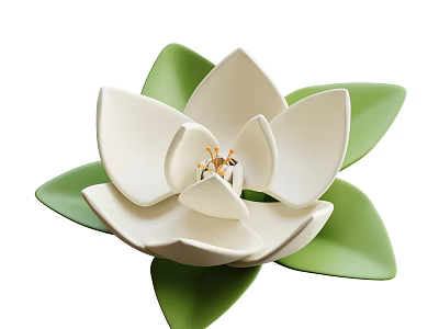 Elegant White Flower with Green Leaves Delicate Petals and Golden Stamen in Bloom 3d model