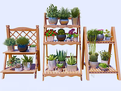 Indoor Succulents Display on Multiple Wooden Shelves with Various Potted Plants 3d model