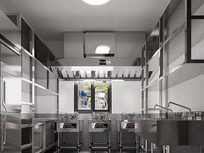 Commercial Kitchen Open Space Layout With Stainless Steel Shelves Multiple Sinks And Range Hood 3d model