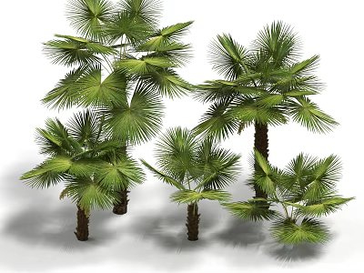 Group of Palm Trees with Green Fronds and Brown Trunks in Various Sizes 3d model