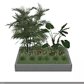 Natural Concrete Tree Pit With Palm Trees Large Leaf Plants And Green Grass