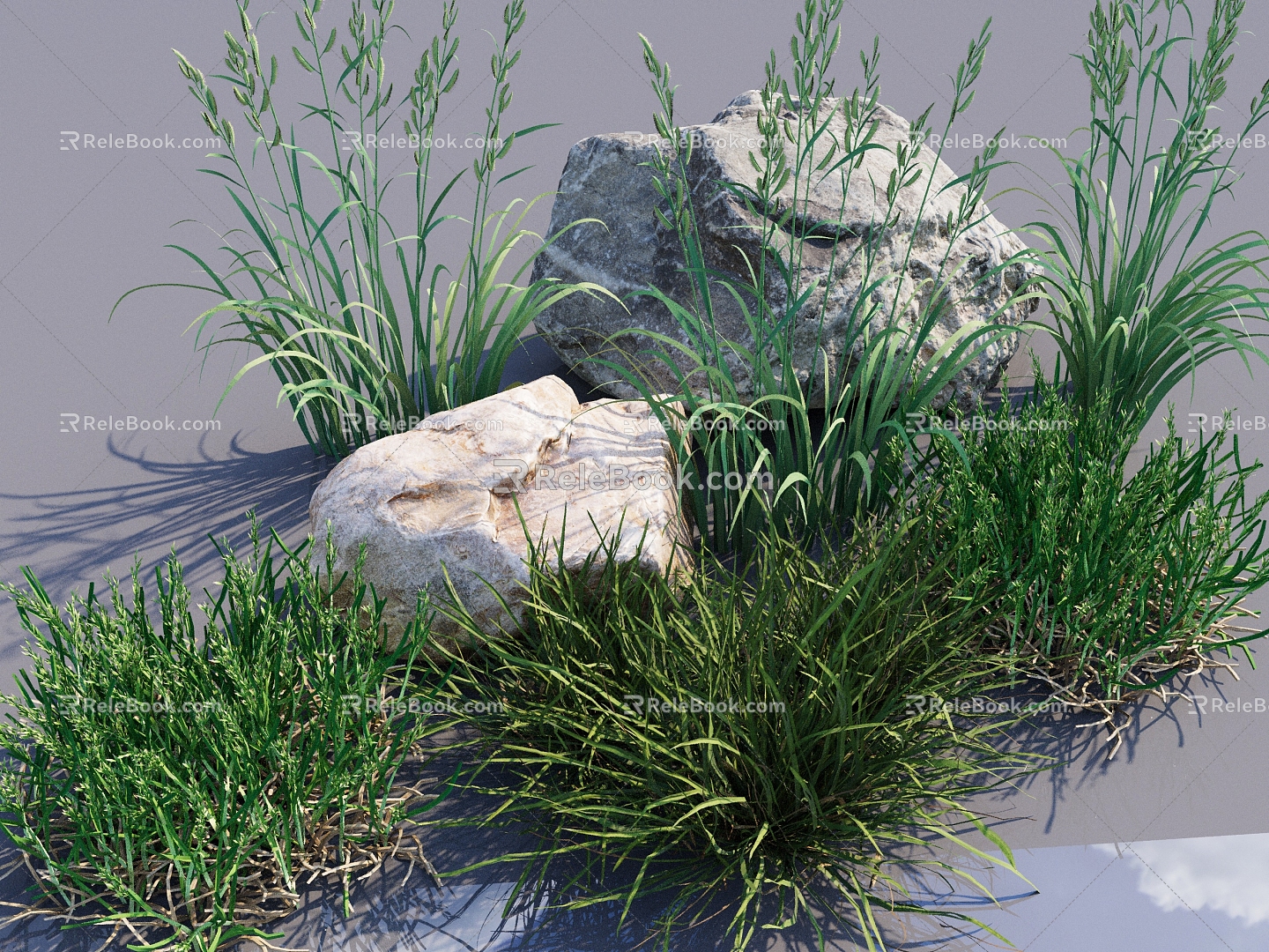 Modern Water Grass Weeds Grass for Grass Grass for Grass Plant Grass Stone 3d model