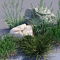 Modern Water Grass Weeds Grass for Grass Grass for Grass Plant Grass Stone 3d model