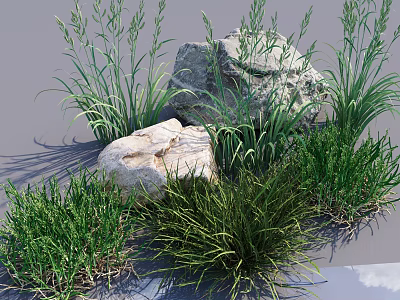 Different Types of Green Grass With Natural Rocks in Garden Arrangement 3d model
