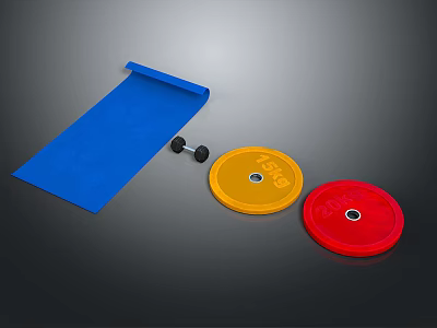 Fitness Equipment Set With Blue Exercise Mat Dumbbell Yellow And Red Weight Plates 3d model