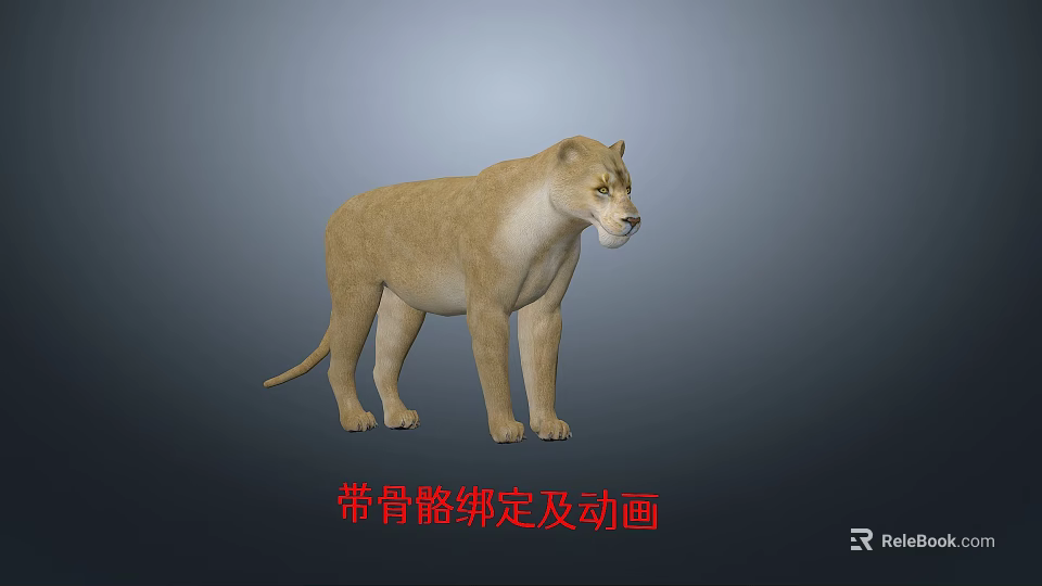 Realistic 3D Lioness Model With Skeleton Rigging And Animation Features 3d model