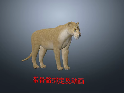 Realistic 3D Lioness Model With Skeleton Rigging And Animation Features 3d model