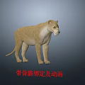 Realistic 3D Lioness Model With Skeleton Rigging And Animation Features 3d model