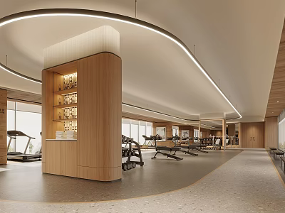 Modern Gym Interior With Fitness Equipment And Wooden Decor 3d model