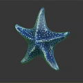 Blue Starfish with White Spots and Reflection on Dark Surface in Aquatic Scene