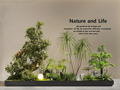 Lush Indoor Landscape Design With Various Plants Rocks And Warm Ambient Lighting 3d model