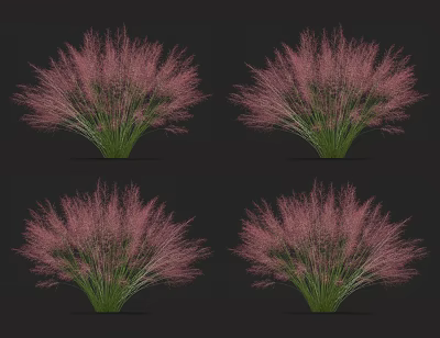 modern grass 3d model
