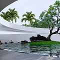 Modern Outdoor Landscape With Water Pool Palm Trees Rock Grass And Relaxation Area