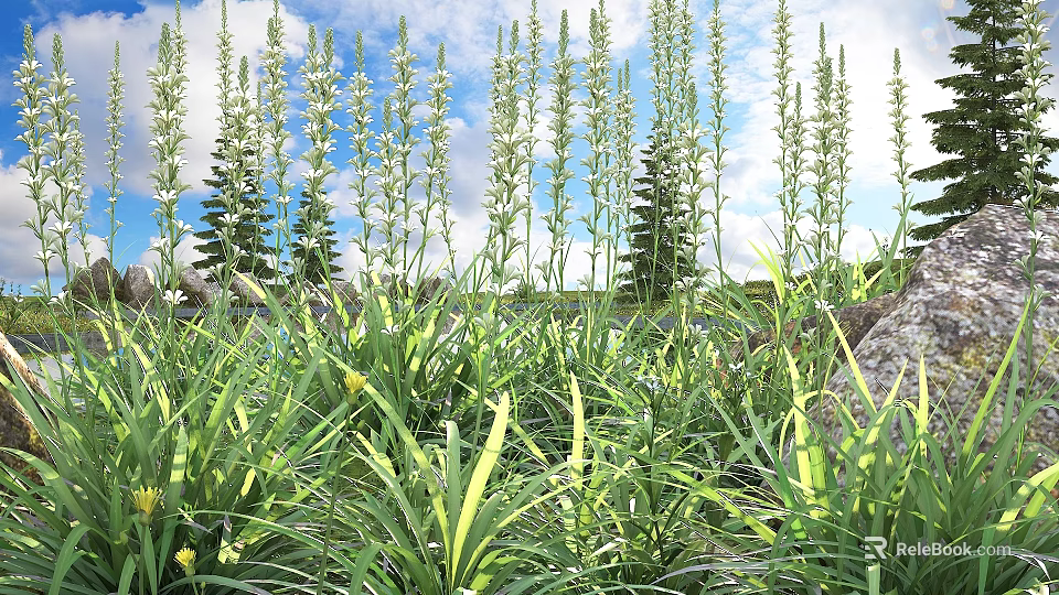 Lush Green Shrubs With White Flowers Growing In Grass Under Blue Sky And Trees 3d model 