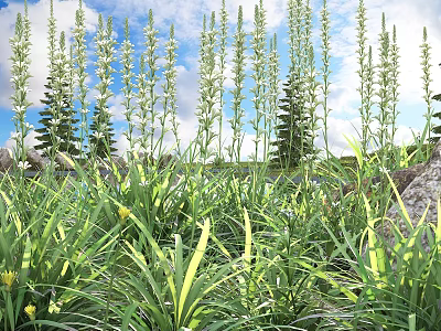 Lush Green Shrubs With White Flowers Growing In Grass Under Blue Sky And Trees 3d model
