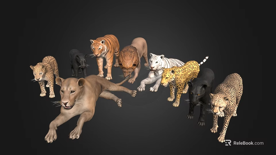 Stunning Reptile Species Collection Featuring Snakes Lizards And Turtles In Natural Habitat 3d model 