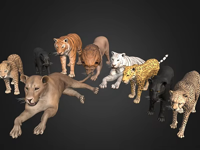 Stunning Reptile Species Collection Featuring Snakes Lizards And Turtles In Natural Habitat 3d model