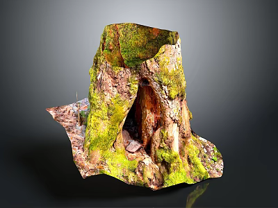Lush Green Moss Growing on Wooden Tree Stump in Natural Plant Habitat 3d model
