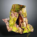 Lush Green Moss Growing on Wooden Tree Stump in Natural Plant Habitat