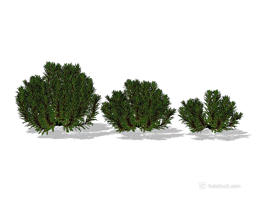 Shrubs in Three Different Sizes with Lush Green Foliage and Natural Shadows 3d model 
