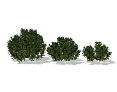 Modern Shrub Outdoor Round Shrub 3d model Modern Shrub Outdoor Round Shrub 3d model