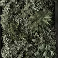 Double Sided Vertical Greenery Wall With Various Lush Tropical Plants 3d model