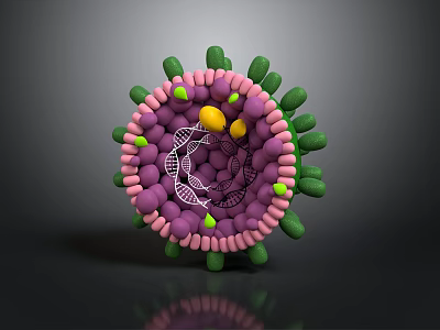 Human Hair Organ Structure With Follicle Cells And Growth Components 3d model