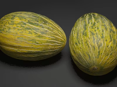 Two Fresh Ripe Cantaloupe Fruits With Green Yellow Striped Skin 3d model