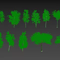 Arbor Trees Of Various Types Showing Distinct Trunk Shapes And Branch Structures
