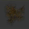 Isolated Leafless Tree With Brown Trunk And Bare Branches On Gray Background