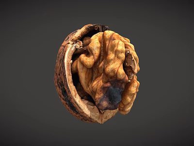 Opened Fresh Walnut With Visible Kernel On Dark Background Close Up View 3d model