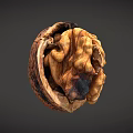 Opened Fresh Walnut With Visible Kernel On Dark Background Close Up View