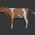 Brown and White Cow Standing on Dark Background with Reflection 3d model