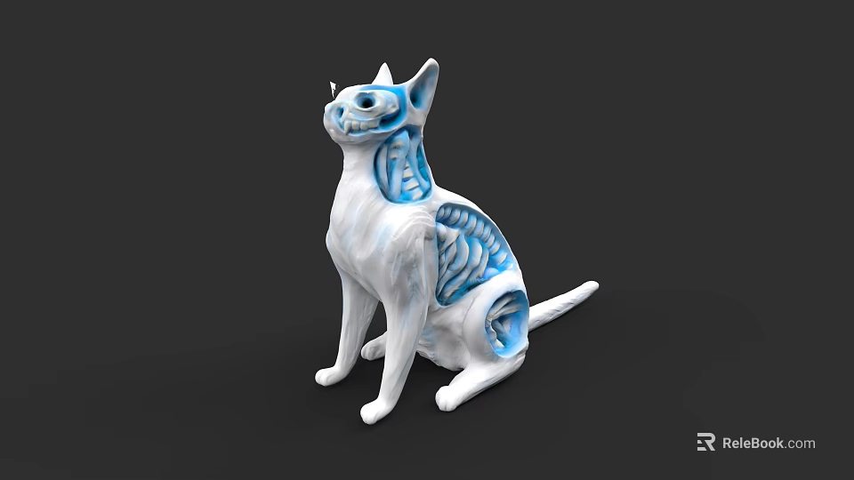 Detailed Cat Anatomical Model with Blue Internal Structures for Scientific 3d model 