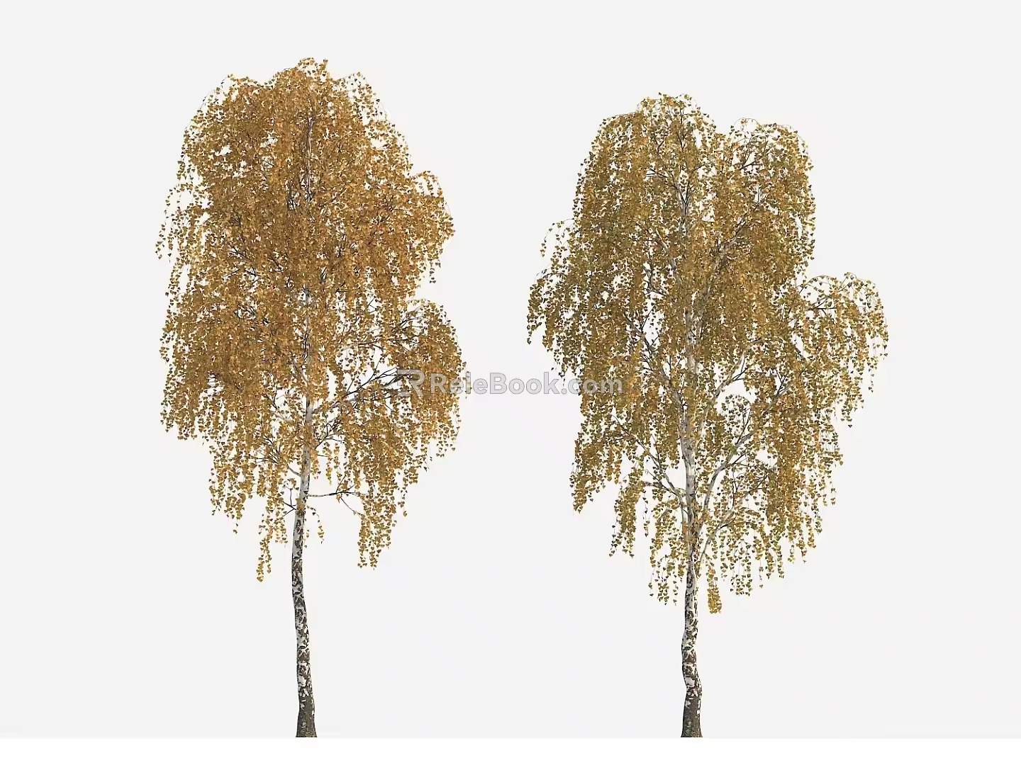 tree autumn tree big tree yellow leaf tree 3d model