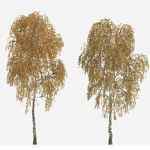 tree autumn tree big tree yellow leaf tree 3d model