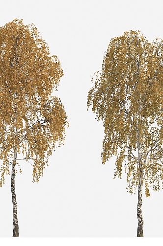 tree autumn tree big tree yellow leaf tree 3d model