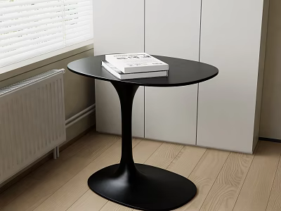 Modern Black Round Table in Living Room with Wooden Floor White Cabinets Window and Books 3d model