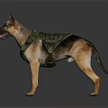 German Shepherd Standing in White Background With Green Tactical Vest and Tongue Out