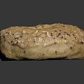 Freshly Baked Seeded Bagel Topped With Sesame Oat Poppy Seeds And Golden Crusty Exterior